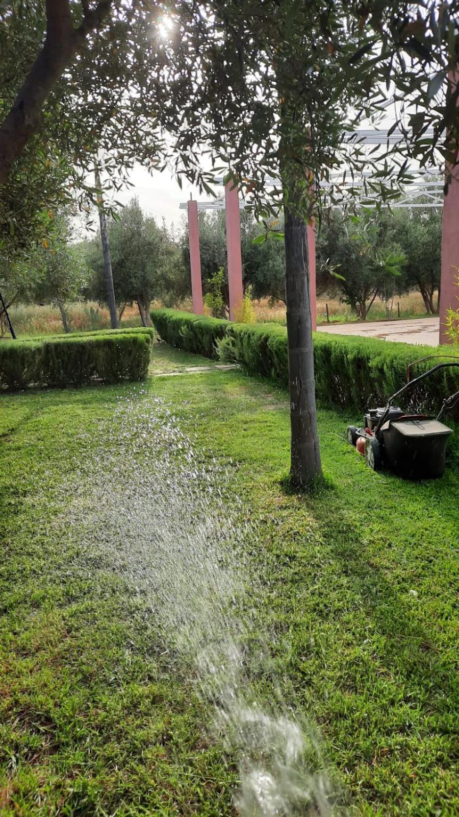 Maison D'Hotes La Ferme Aziza Fez Esterno foto
