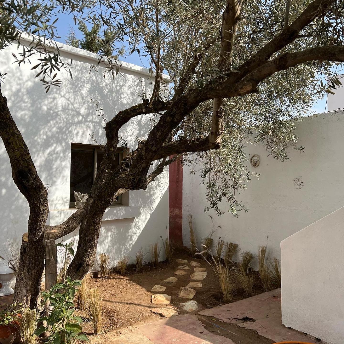 Maison D'Hotes La Ferme Aziza Fez Esterno foto